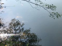 -无染寺