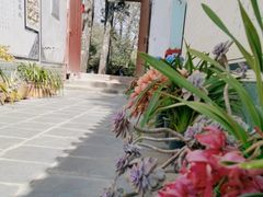 -寂照庵