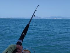 -小猫钓鱼海钓俱乐部(椰梦长廊店)