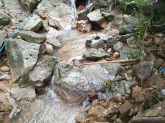 -火炉山森林公园