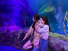 -沈阳海洋探索中心