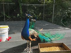 -福建鲤鱼洲酒店