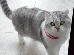 -世博家园十街坊