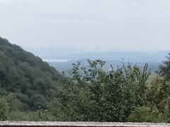 -韬光茶庵