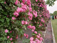 -广富林郊野公园