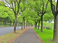 -复旦大学江湾校区食堂