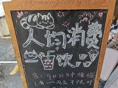 -猫咪派对(江南西店)