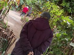 -呀路古热带植物园