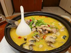 -鲁宴·鲁煨黄河生态大鲤鱼(月坛店)