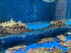 -裕合顺清真餐厅·回民老菜·大连海鲜·特色烧烤(西安路店)