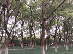 -荆川公园