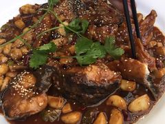 -Local泰莲庭(虹鳟鱼店)