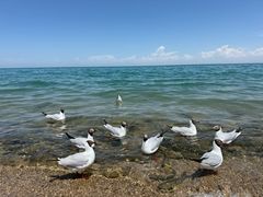 -青海湖二郎剑景区