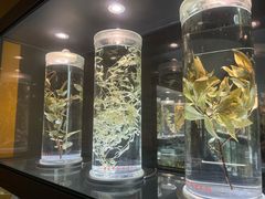 -广东中医药博物馆