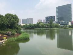 -大兴滨河森林公园