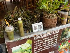 -莫里热带雨林景区