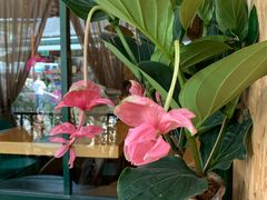 -The Flowers Coffee(南山店)