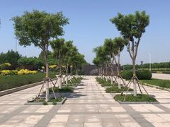 -东疆建设开发纪念公园