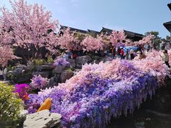 -茅山东方盐湖城景区
