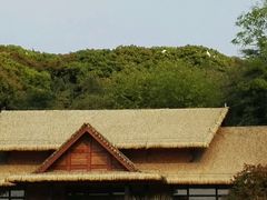 -洪湖悦兮半岛国际温泉度假村
