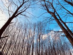 -太子岭滑雪场