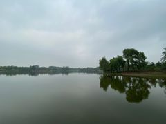 -东郊湿地公园