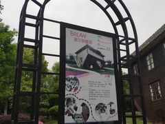 -金山农民画村-枫泾波兰倒置屋
