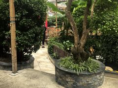-金稼园·金平湖农家菜