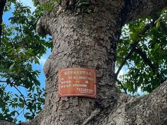 -福建鲤鱼洲酒店