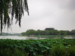 -WhaleSports户外水上运动俱乐部(朝阳公园店)