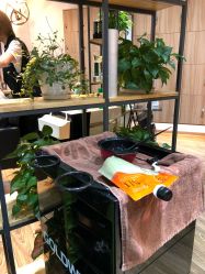 -曼都发型·臻选