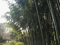 -汇龙潭