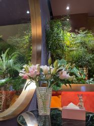 -花隐·美芙炫海菲秀皮肤管理中心