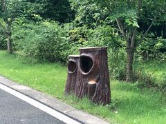 -同里国家湿地公园