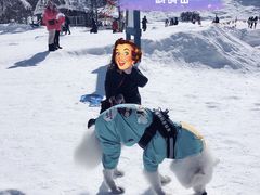 -太子岭滑雪场