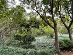 -日照海滨国家森林公园