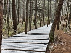 -帽儿山国家森林公园