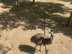 -石家庄市动物园