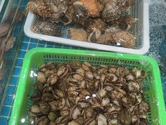 -和源祥·日照菜扛把子(万平口一店)