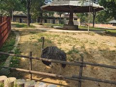 -石家庄市动物园