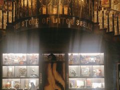 -雪灵魔法世界SHELLY’S TAROT(大良桂畔里店)