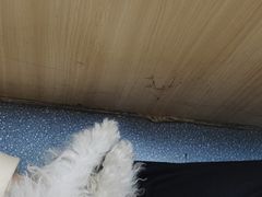 -宠颐生宠物医院外科·内科·皮肤科·影像科(石龙店)