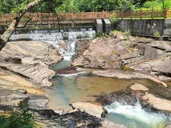 -广州白江湖森林公园