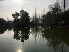 -宝岩生态观光园