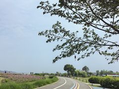 -空港花田景区