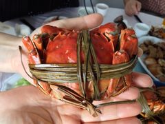 大闸蟹-芸海阁·农家私房菜(沙家浜景区出口店)