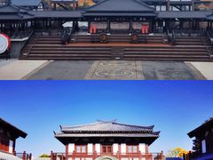 -泗洪洪泽湖湿地景区