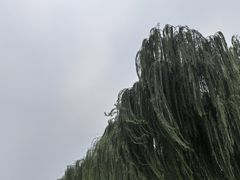-邯郸东站