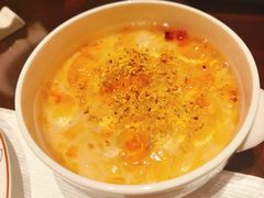 -泰康之家·申园