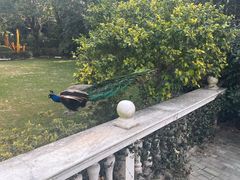 -J Create城市露营咖啡·简餐·宠物(上海动物园店)